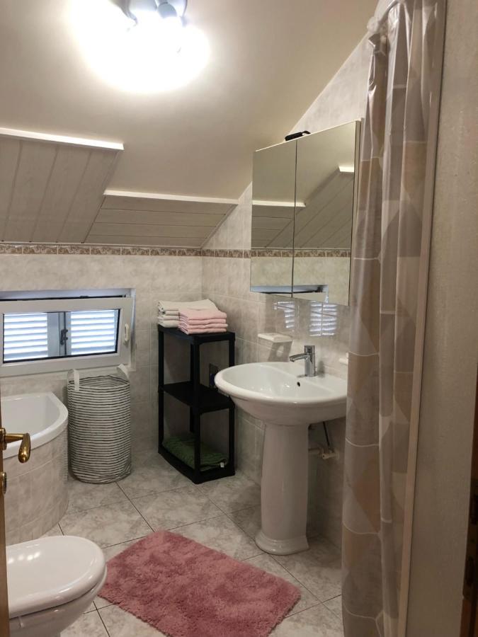 Apartment Bojana نوفي فينودولسكي المظهر الخارجي الصورة