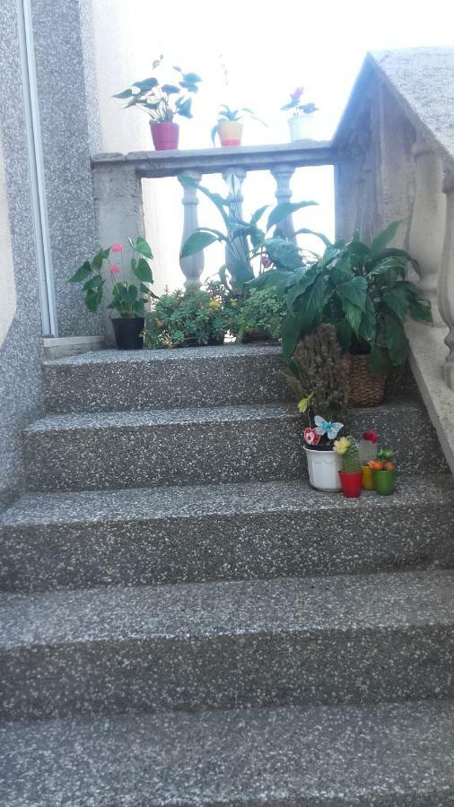 Apartment Bojana نوفي فينودولسكي المظهر الخارجي الصورة