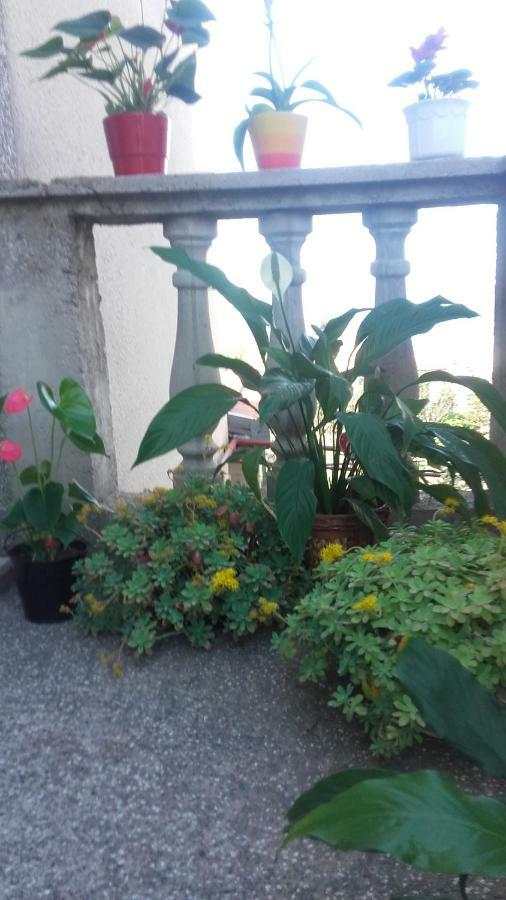 Apartment Bojana نوفي فينودولسكي المظهر الخارجي الصورة