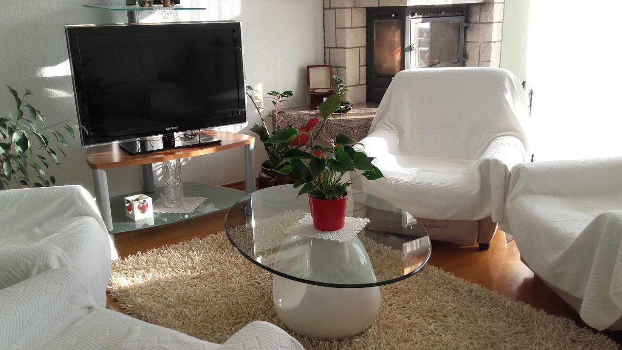 Apartment Bojana نوفي فينودولسكي المظهر الخارجي الصورة